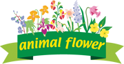 Animal Flower